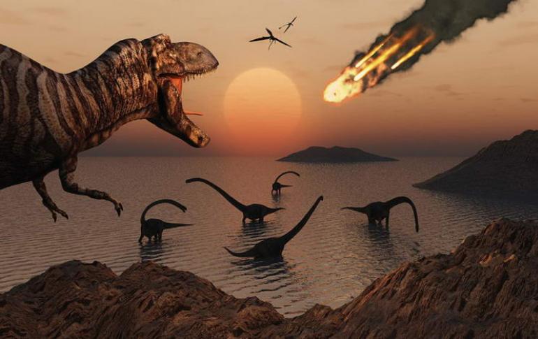 Šiuo metu dinozaurai išmirė