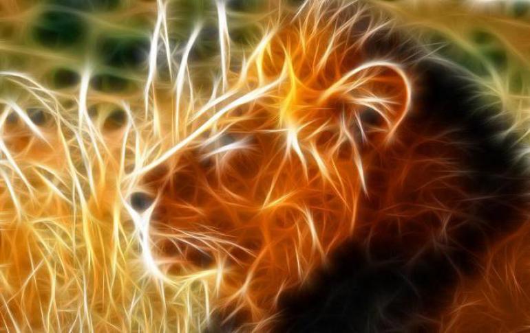 Lejonet - stjärntecknets egenskaper