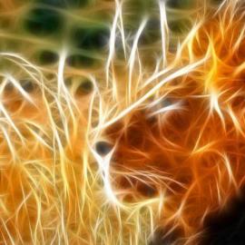 Liūtas – zodiako ženklo savybės
