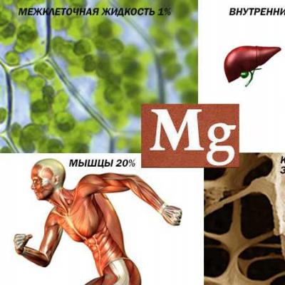 Magnezij in vitamin B6 za vaping: pomen elementa kože za razvoj majhnega življenja